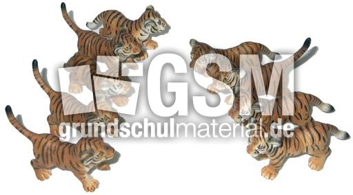Tiger-5+4.jpg